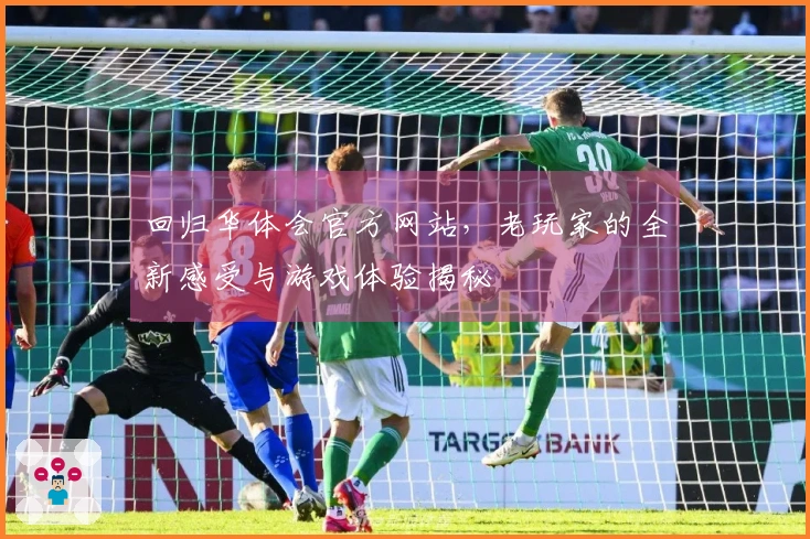 回归华体会官方网站，老玩家的全新感受与游戏体验揭秘