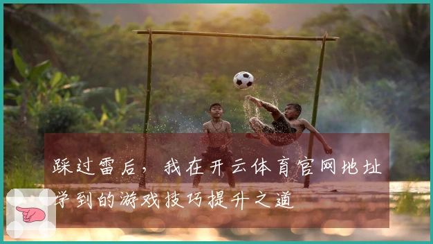 踩过雷后，我在开云体育官网地址学到的游戏技巧提升之道
